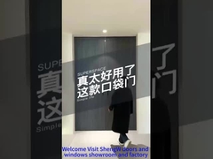 Карманные двери