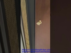 Алюминиевые передние вращательные двери